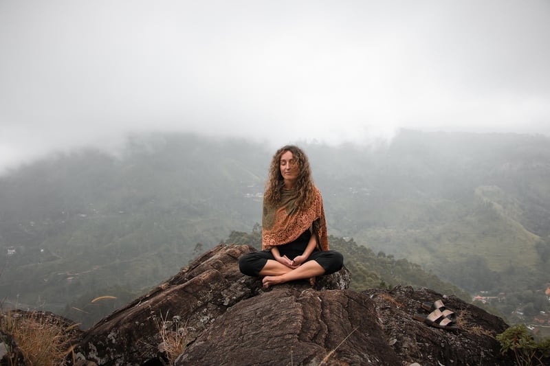 Mindfulness Meditation Workshop